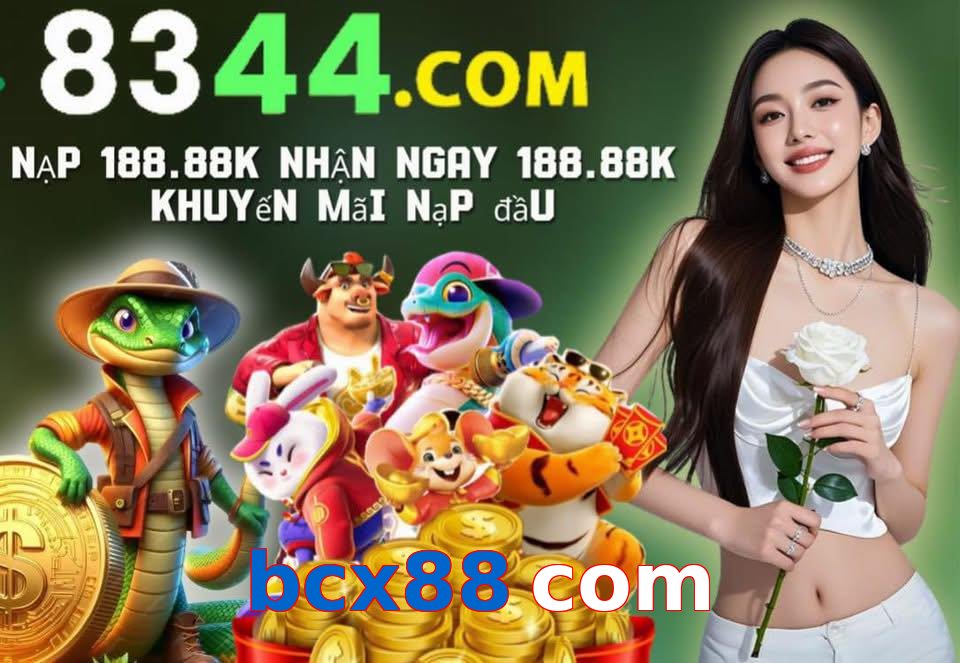 bcx88 com