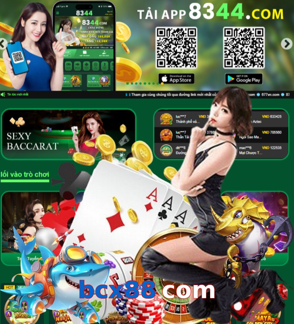 bcx88 com